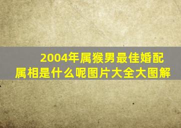 2004年属猴男最佳婚配属相是什么呢图片大全大图解