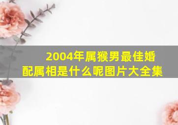 2004年属猴男最佳婚配属相是什么呢图片大全集