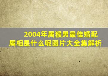 2004年属猴男最佳婚配属相是什么呢图片大全集解析