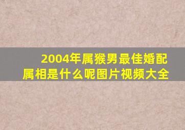 2004年属猴男最佳婚配属相是什么呢图片视频大全