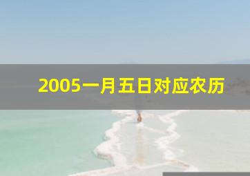 2005一月五日对应农历