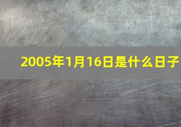 2005年1月16日是什么日子