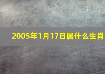 2005年1月17日属什么生肖