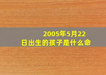 2005年5月22日出生的孩子是什么命