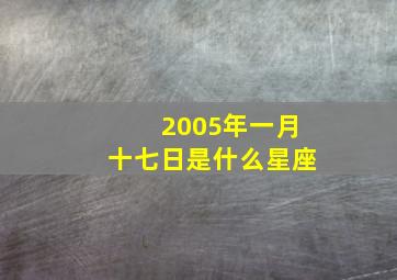 2005年一月十七日是什么星座