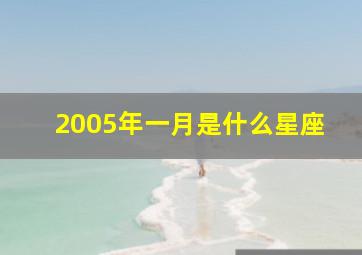 2005年一月是什么星座