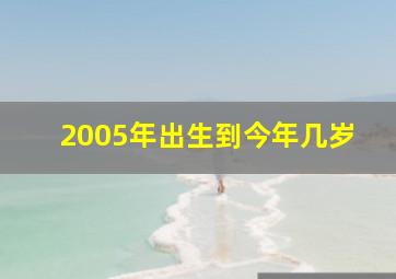 2005年出生到今年几岁