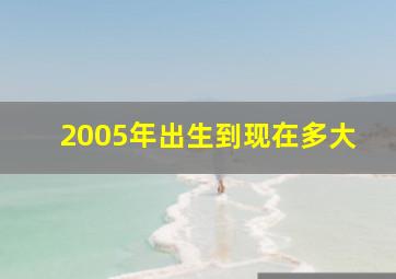 2005年出生到现在多大