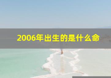 2006年出生的是什么命