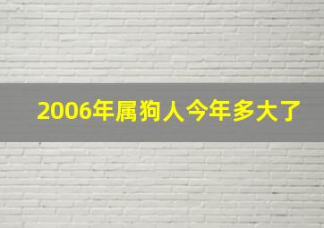 2006年属狗人今年多大了