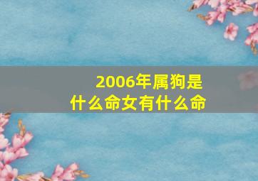 2006年属狗是什么命女有什么命