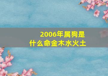 2006年属狗是什么命金木水火土