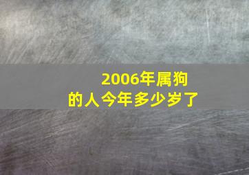 2006年属狗的人今年多少岁了