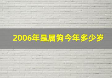 2006年是属狗今年多少岁