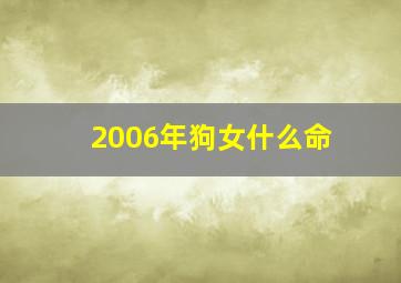 2006年狗女什么命