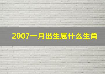 2007一月出生属什么生肖