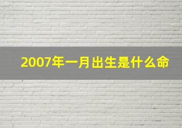 2007年一月出生是什么命