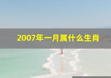 2007年一月属什么生肖