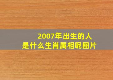 2007年出生的人是什么生肖属相呢图片