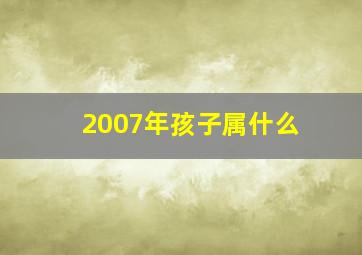 2007年孩子属什么