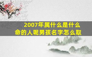 2007年属什么是什么命的人呢男孩名字怎么取