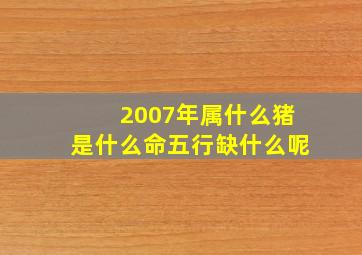 2007年属什么猪是什么命五行缺什么呢