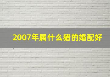 2007年属什么猪的婚配好