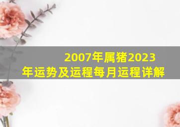 2007年属猪2023年运势及运程每月运程详解