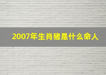 2007年生肖猪是什么命人