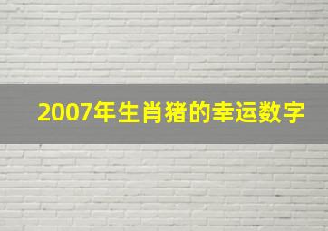 2007年生肖猪的幸运数字