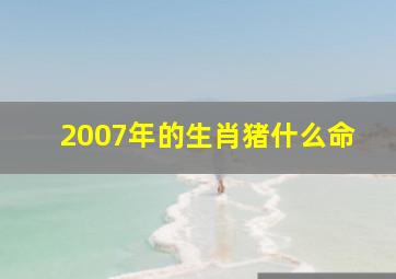 2007年的生肖猪什么命