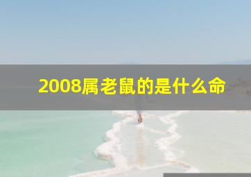 2008属老鼠的是什么命