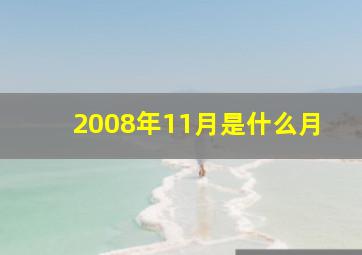 2008年11月是什么月