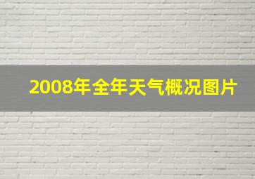 2008年全年天气概况图片