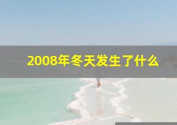 2008年冬天发生了什么