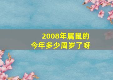 2008年属鼠的今年多少周岁了呀