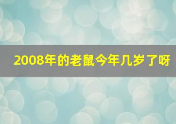 2008年的老鼠今年几岁了呀