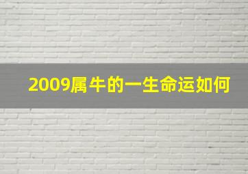 2009属牛的一生命运如何