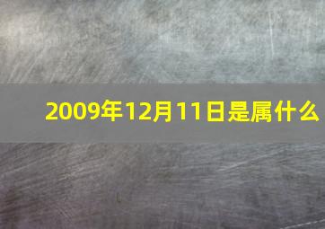 2009年12月11日是属什么