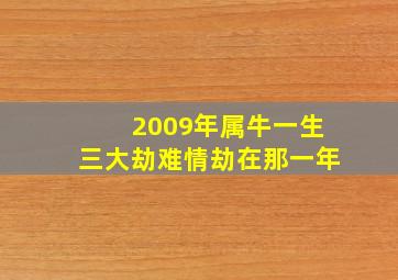 2009年属牛一生三大劫难情劫在那一年