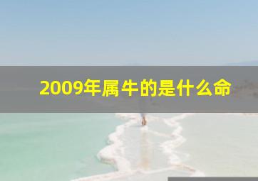 2009年属牛的是什么命