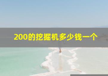 200的挖掘机多少钱一个