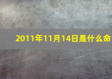 2011年11月14日是什么命