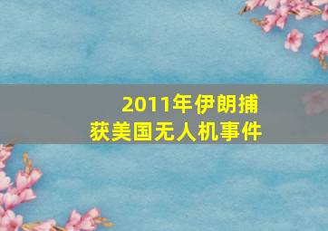 2011年伊朗捕获美国无人机事件