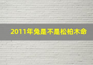 2011年兔是不是松柏木命