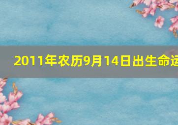 2011年农历9月14日出生命运