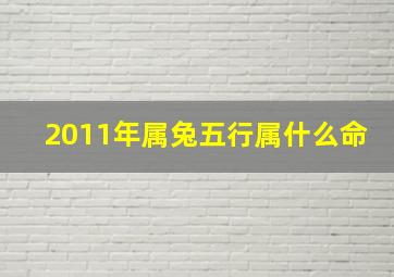 2011年属兔五行属什么命