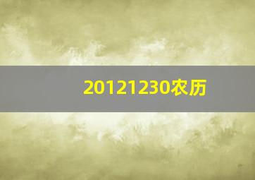 20121230农历