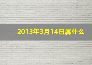 2013年3月14日属什么