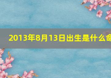 2013年8月13日出生是什么命